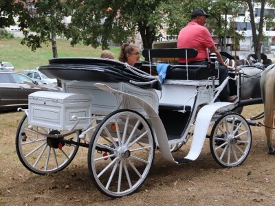 Druga "Fijakerijada" u Prnjavoru