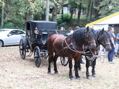 Druga "Fijakerijada" u Prnjavoru