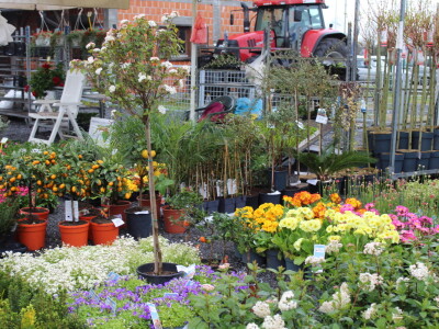 Drugi dan 24. Proljetnog međunarodnog bjelovarskog sajma