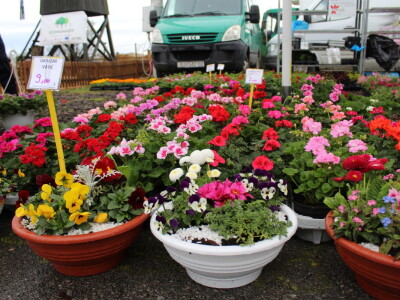 Drugi dan 24. Proljetnog međunarodnog bjelovarskog sajma