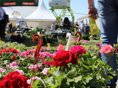 Drugi dan 25. Proljetnog međunarodnog bjelovarskog sajma