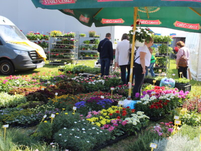 Drugi dan 25. Proljetnog međunarodnog bjelovarskog sajma