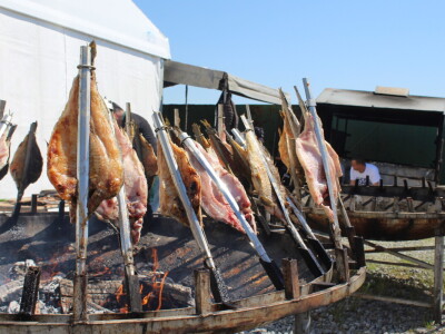 Drugi dan 25. Proljetnog međunarodnog bjelovarskog sajma