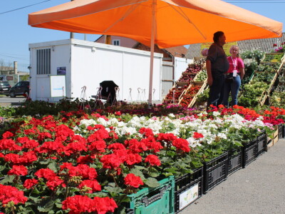 Drugi dan 25. Proljetnog međunarodnog bjelovarskog sajma