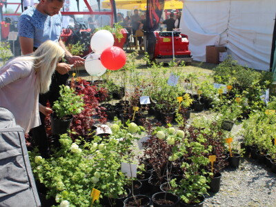Drugi dan 25. Proljetnog međunarodnog bjelovarskog sajma