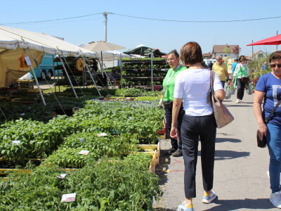 Drugi dan 25. Proljetnog međunarodnog bjelovarskog sajma