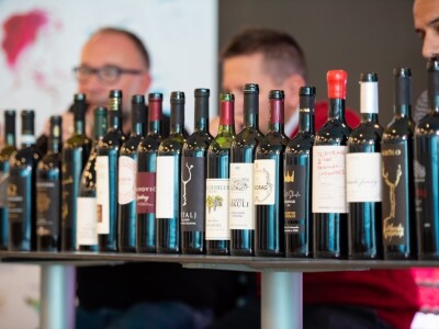 Drugi dan 3. Zinfesta