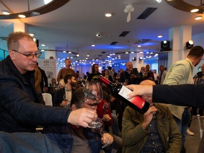 Drugi dan 3. Zinfesta