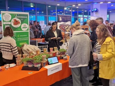 Drugi dan 3. Zinfesta