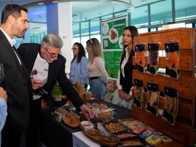 Drugi dan 3. Zinfesta