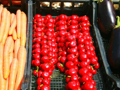 Drugi gastronomski festival "Ukusi Vojvodine"