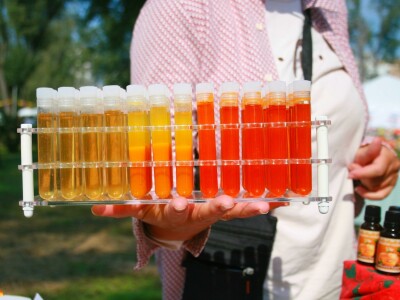 Drugi gastronomski festival "Ukusi Vojvodine"