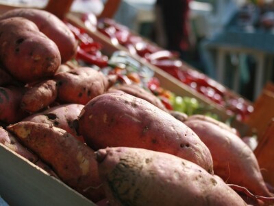 Drugi gastronomski festival "Ukusi Vojvodine"