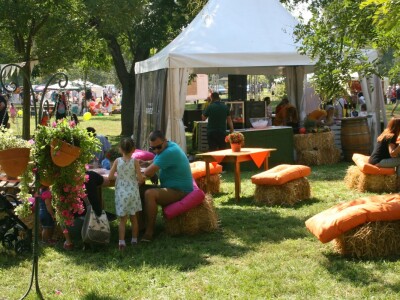 Drugi gastronomski festival "Ukusi Vojvodine"