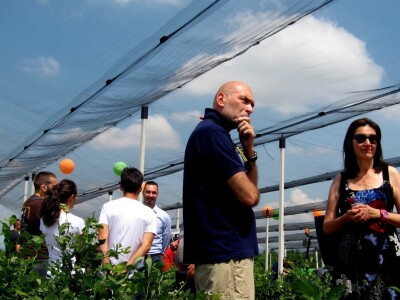 Drugi Sabor voćara u Gruži 2018