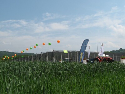 Drugi Sabor voćara u Gruži 2018