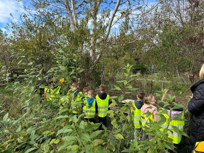 Društveni vrtovi kao mjesto educiranja i učenja o važnosti zajednice Društveni vrtovi kao mjesto educiranja i učenja o važnosti zajednice