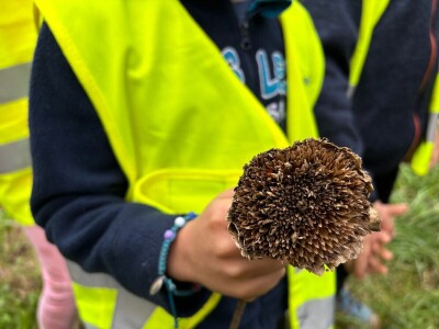 Društveni vrtovi kao mjesto educiranja i učenja o važnosti zajednice Društveni vrtovi kao mjesto educiranja i učenja o važnosti zajednice