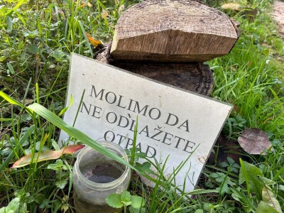 Društveni vrtovi kao mjesto educiranja i učenja o važnosti zajednice Društveni vrtovi kao mjesto educiranja i učenja o važnosti zajednice