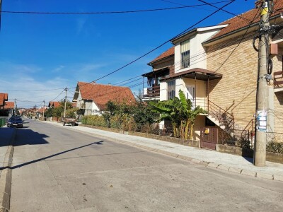 Drvo banane kao ukras dvorišta