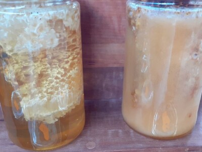 Držanje pčela Držanje pčela