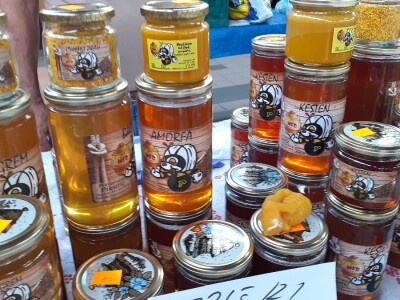 Držanje pčela Držanje pčela