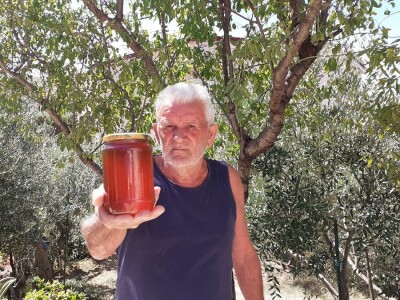 Držanje pčela Držanje pčela