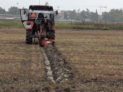 20. Državno natjecanje u oranju 20. Državno natjecanje u oranju
