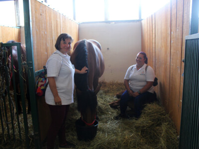 Državna stočarska izložba u Gudovcu