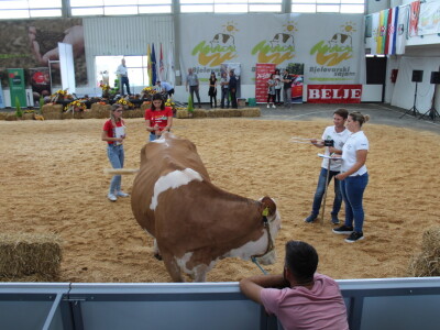 Državna stočarska izložba u Gudovcu 2022.