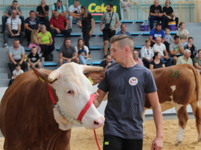 Državna stočarska izložba u Gudovcu 2022.