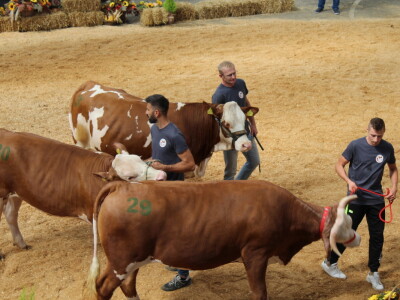 Državna stočarska izložba u Gudovcu 2022.