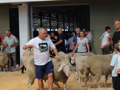 Državna stočarska izložba u Gudovcu 2022.