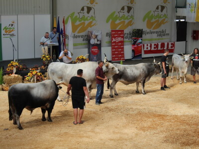 Državna stočarska izložba u Gudovcu 2022.