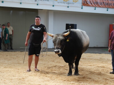 Državna stočarska izložba u Gudovcu 2022.