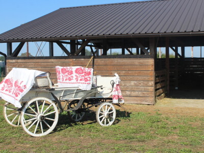 Državna stočarska izložba u Gudovcu