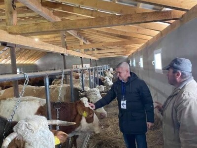 Državni tajnik Tugomir Majdak o poljoprivredi na Banovini