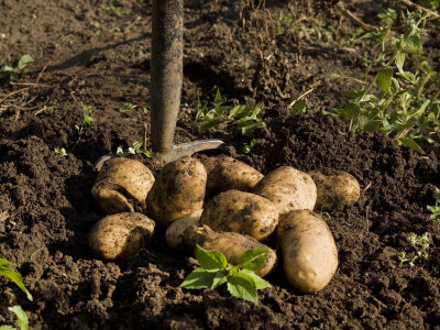 Grahom do profita Grahom do profita