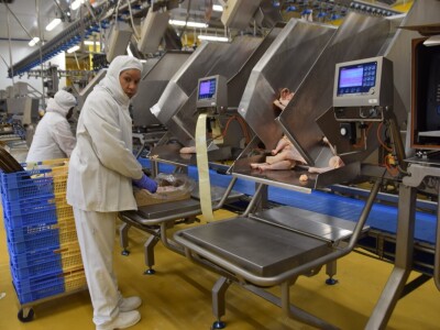 Lideri francuske proizvodnje premium piletine