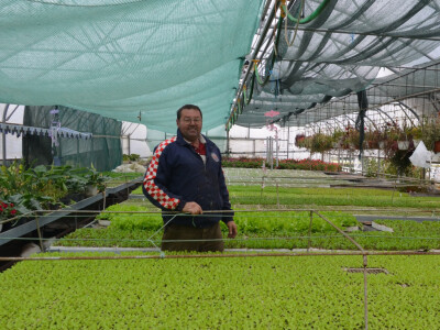 Uzgoj cvijeća na OPG-u Pavičić Uzgoj cvijeća na OPG-u Pavičić