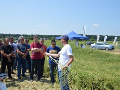 Dani polja Syngente 2019