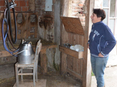 Ovčarstvo na OPG-u Golek