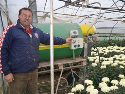 Uzgoj cvijeća na OPG-u Pavičić Uzgoj cvijeća na OPG-u Pavičić