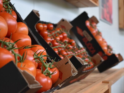 Posjet stakleniku tvrtke Belje