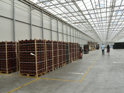 Posjet stakleniku tvrtke Belje