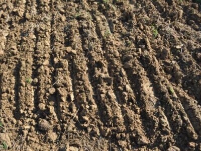 Zemlja nakon tretiranja drljačom