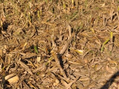 Rezultati rada kombajna