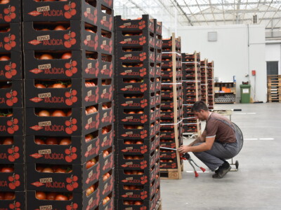 Posjet stakleniku tvrtke Belje