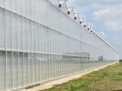 Posjet stakleniku tvrtke Belje