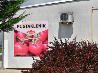 Posjet stakleniku tvrtke Belje